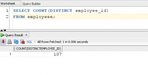 ORACLE COUNT - Qurosity | Learning Never Stops