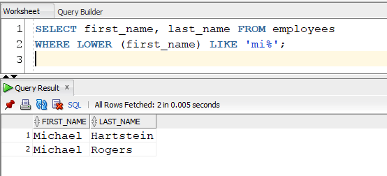 Oracle LIKE % Wildcard with LOWER function